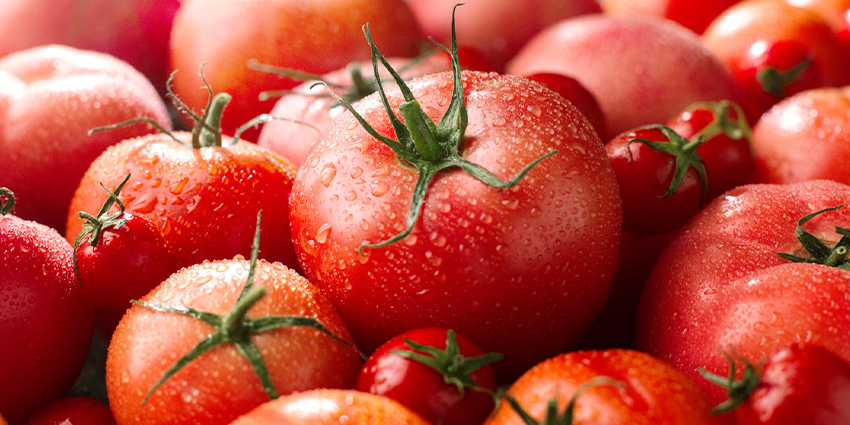 Qué tomate elegir para un gazpacho andaluz delicioso.